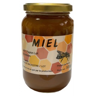 Miel toutes fleurs 500g